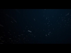 IP66 Dış LED Landskap Işığı 10W COB Ağaç Bahçesi Spike Işığı