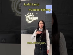 PC RGB uzaktan kumandalı paslanmaz çelik 316 kolay kurulum PAR 56 yüzme havuzu lambaları