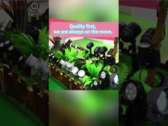 Özelleştirme Seçenekleri