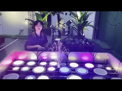 LED PAR56 Havuz Işığı