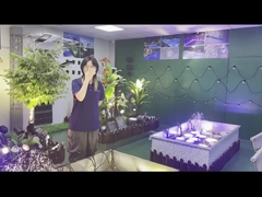 Sualtı Çeşme Işığı IP68 18W 36W 54W Sıcak Beyaz Mavi RGB Paslanmaz Çelik 316L