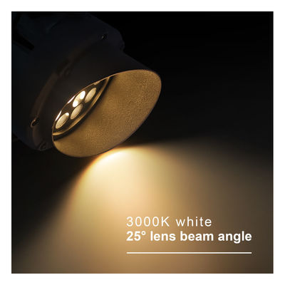 Yüksek Parlaklık Yuvarlak Dış RGB LED Fenerler IP65 LED Manzara Ağacı