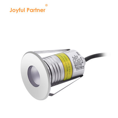 Mini 1W 2W LED yeraltı havuz ışığı IP68 3000k 12V / 24V DC