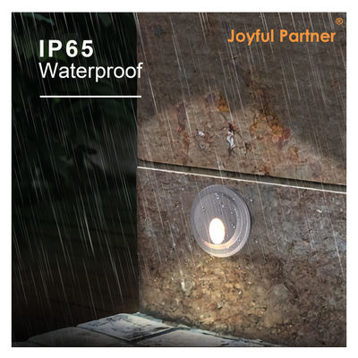 Yüzey Duvar Montajlı Sabit Akım Çıktısı Dış Duvar Paketi Işık OEM ODM