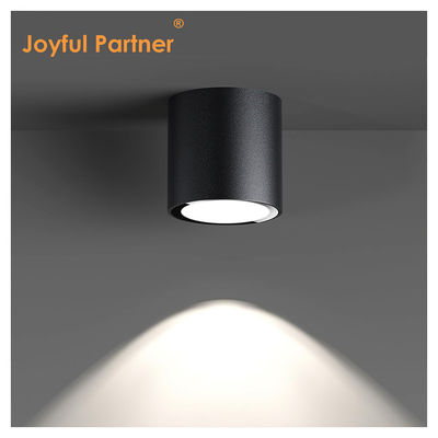 IP65 Çatı Işığı Yüzey Montajlı Aşağı Işık Su geçirmez Nokta Işığı 6000K Smd Beyaz LED Aşağı Işık