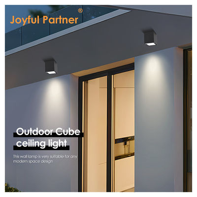 Joyful LED Duvar Tavan Yüzey Montaj Işık 4W 8W 220V AC Alüminyum Beden