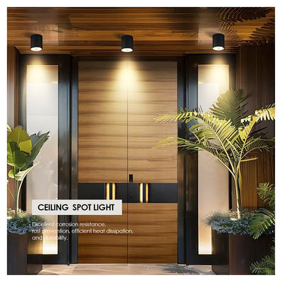 12W COB LED Downlight Silindir Duvar Montajı Işık Dış Uygulamalar İçin Kompakt Tasarım Yüzey Düzeltmesi