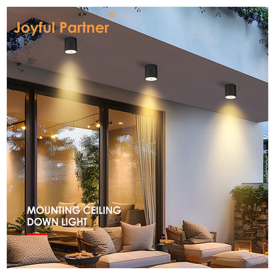 15W COB LED Downlight Silindir Duvar Montajı Işığı Dışarıda Yüzey Düzeltmesi